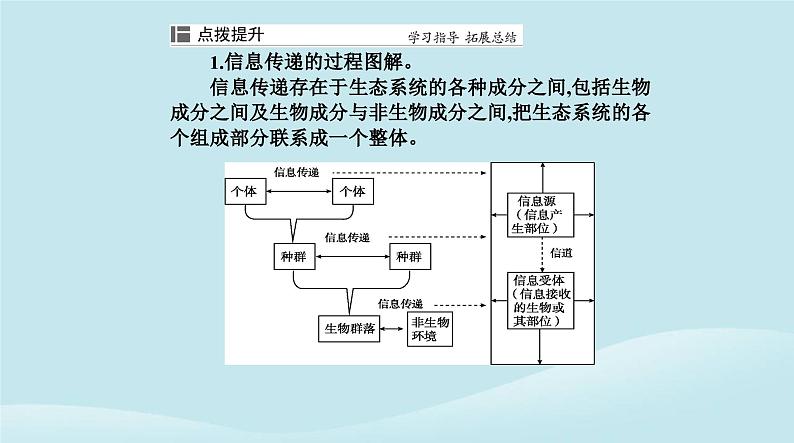 新教材2023高中生物第3章生态系统及其稳定性第4节生态系统的信息传递课件新人教版选择性必修208