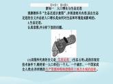 新教材2023高中生物第4章人与环境第1节人类活动对生态环境的影响课件新人教版选择性必修2