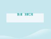 新教材2023高中生物第1章发酵工程第1节传统发酵技术的应用课件新人教版选择性必修3