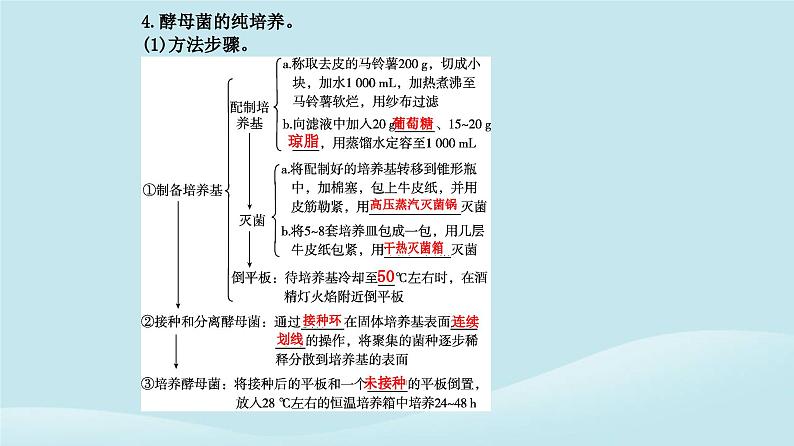 新教材2023高中生物第1章发酵工程第2节微生物的培养技术及应用第1课时微生物的基本培养技术课件新人教版选择性必修308