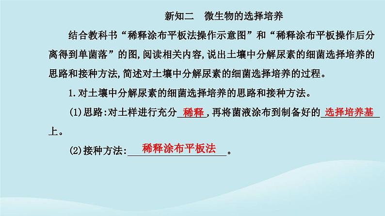 新教材2023高中生物第1章发酵工程第2节微生物的培养技术及应用第2课时微生物的选择培养和计数课件新人教版选择性必修3第4页