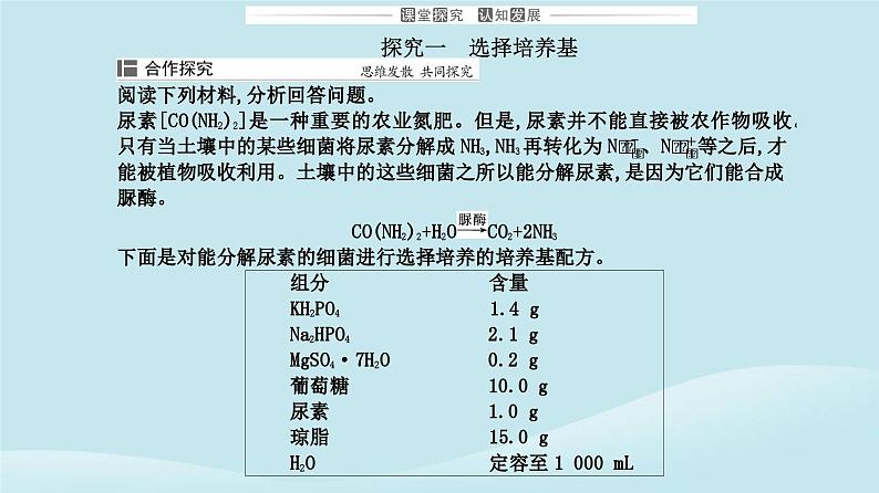 新教材2023高中生物第1章发酵工程第2节微生物的培养技术及应用第2课时微生物的选择培养和计数课件新人教版选择性必修3第7页