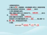 新教材2023高中生物第2章细胞工程第1节植物细胞工程第1课时植物细胞工程的基本技术课件新人教版选择性必修3