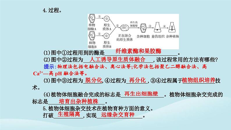 新教材2023高中生物第2章细胞工程第1节植物细胞工程第1课时植物细胞工程的基本技术课件新人教版选择性必修3第6页