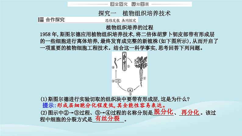 新教材2023高中生物第2章细胞工程第1节植物细胞工程第1课时植物细胞工程的基本技术课件新人教版选择性必修3第7页