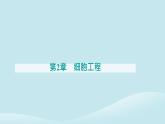 新教材2023高中生物第2章细胞工程第1节植物细胞工程第2课时植物细胞工程的应用课件新人教版选择性必修3