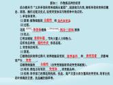 新教材2023高中生物第2章细胞工程第1节植物细胞工程第2课时植物细胞工程的应用课件新人教版选择性必修3