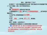 新教材2023高中生物第2章细胞工程第1节植物细胞工程第2课时植物细胞工程的应用课件新人教版选择性必修3