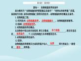 新教材2023高中生物第2章细胞工程第2节动物细胞工程第1课时动物细胞培养课件新人教版选择性必修3