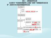 新教材2023高中生物第2章细胞工程第2节动物细胞工程第1课时动物细胞培养课件新人教版选择性必修3