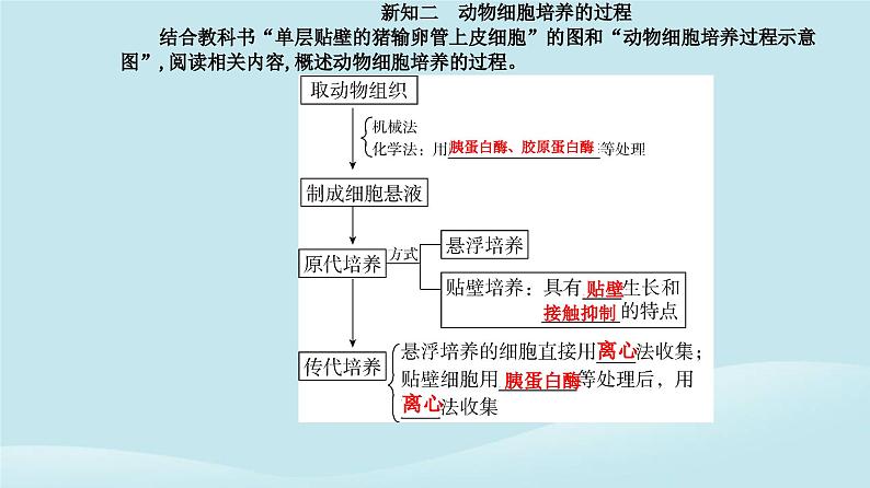 新教材2023高中生物第2章细胞工程第2节动物细胞工程第1课时动物细胞培养课件新人教版选择性必修3第5页