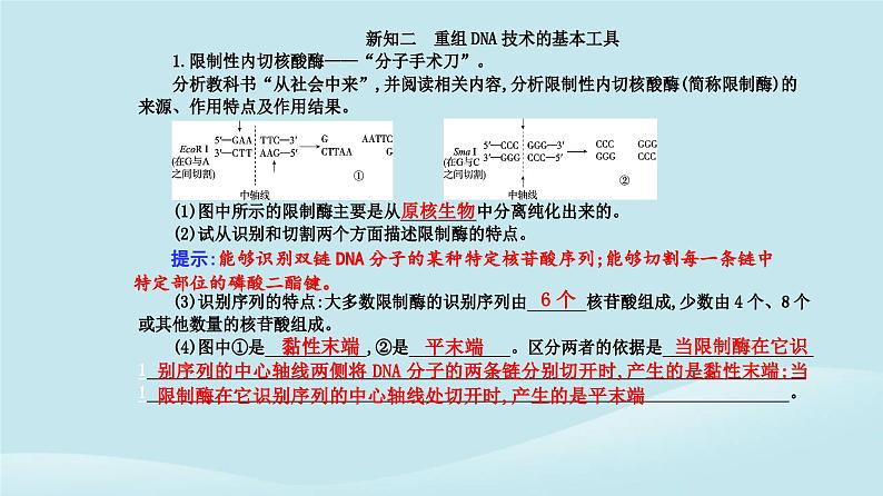 新教材2023高中生物第3章基因工程第1节重组DNA技术的基本工具课件新人教版选择性必修3第5页