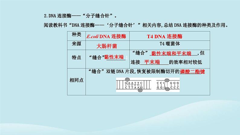 新教材2023高中生物第3章基因工程第1节重组DNA技术的基本工具课件新人教版选择性必修3第6页