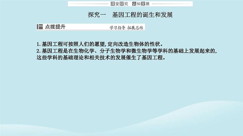 新教材2023高中生物第3章基因工程第1节重组DNA技术的基本工具课件新人教版选择性必修3第8页