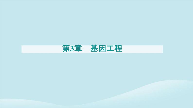 新教材2023高中生物第3章基因工程第3节基因工程的应用课件新人教版选择性必修3第1页