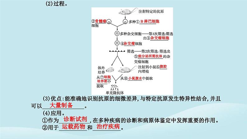 新教材2023高中生物第2章细胞工程第2节动物细胞工程第2课时动物细胞融合技术与单克鹿体课件新人教版选择性必修3第6页