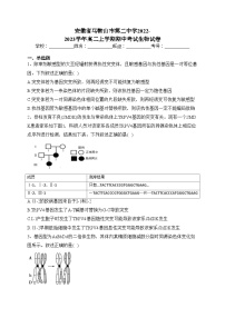 安徽省马鞍山市第二中学2022-2023学年高二上学期期中考试生物试卷（含答案）