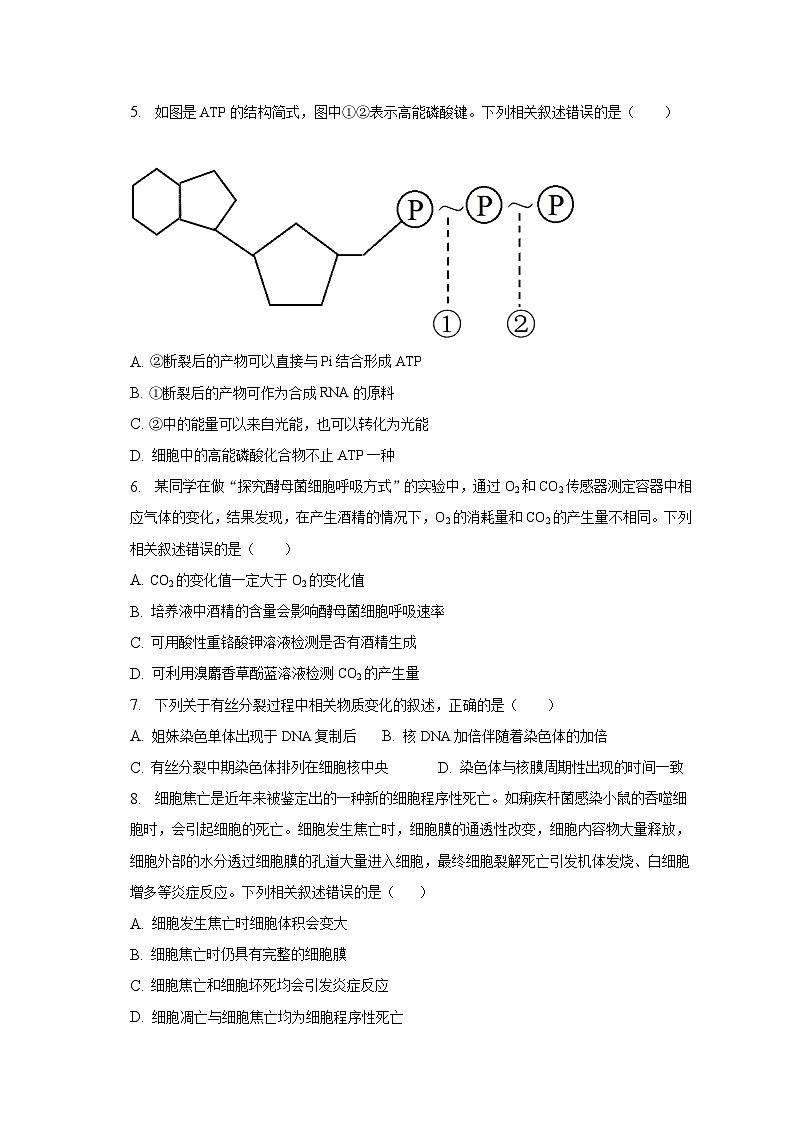 2022-2023学年青海省西宁市大通县高三（下）开学生物试卷（含解析）02