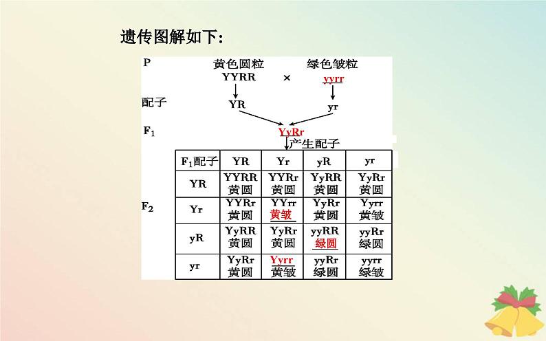 新教材2023高中生物第1章遗传因子的发现第2节孟德尔的豌豆杂交实验二课件新人教版必修207