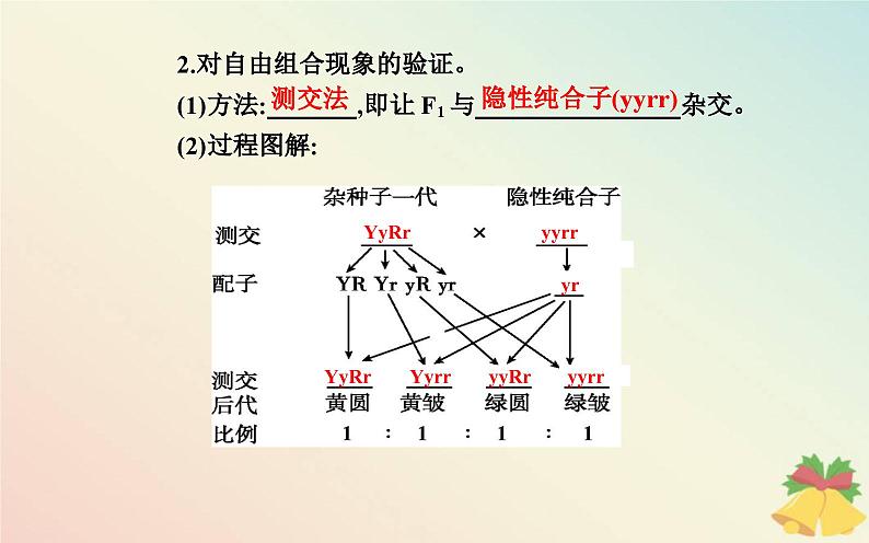 新教材2023高中生物第1章遗传因子的发现第2节孟德尔的豌豆杂交实验二课件新人教版必修208