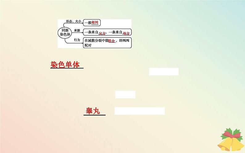 新教材2023高中生物第2章基因和染色体的关系第1节减数分裂和受精作用第1课时减数分裂课件新人教版必修205