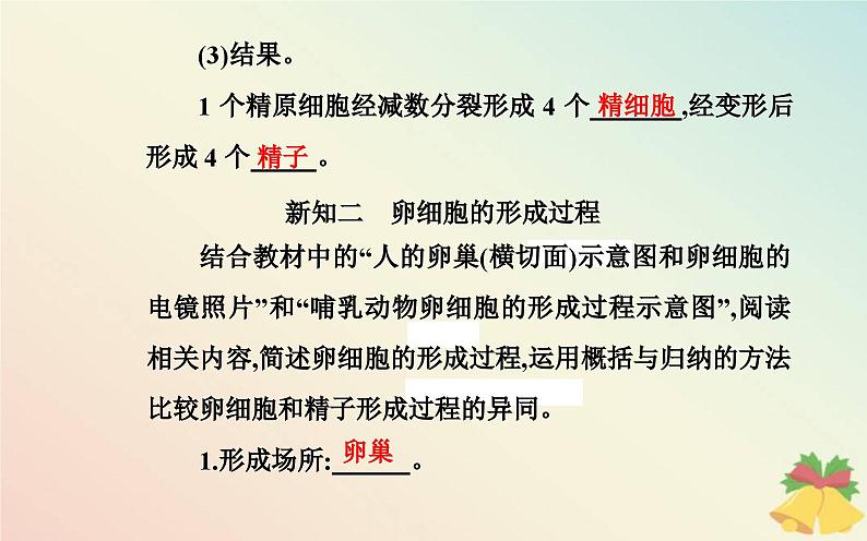 新教材2023高中生物第2章基因和染色体的关系第1节减数分裂和受精作用第1课时减数分裂课件新人教版必修207