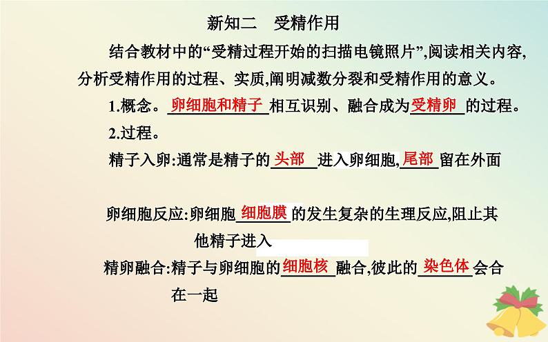 新教材2023高中生物第2章基因和染色体的关系第1节减数分裂和受精作用第2课时受精作用课件新人教版必修2第4页