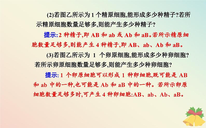 新教材2023高中生物第2章基因和染色体的关系第1节减数分裂和受精作用第2课时受精作用课件新人教版必修2第8页