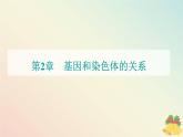 新教材2023高中生物第2章基因和染色体的关系第2节基因在染色体上课件新人教版必修2