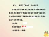 新教材2023高中生物第2章基因和染色体的关系第2节基因在染色体上课件新人教版必修2