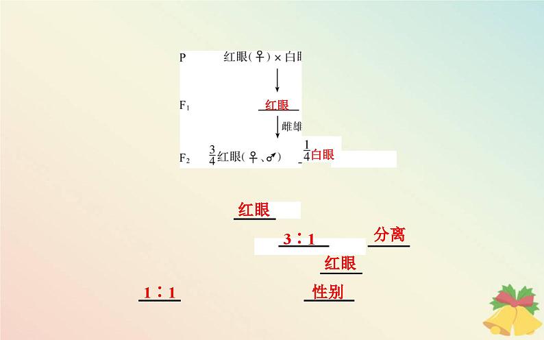 新教材2023高中生物第2章基因和染色体的关系第2节基因在染色体上课件新人教版必修2第7页