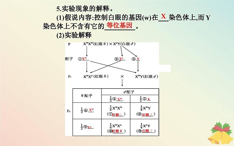 新教材2023高中生物第2章基因和染色体的关系第2节基因在染色体上课件新人教版必修2第8页