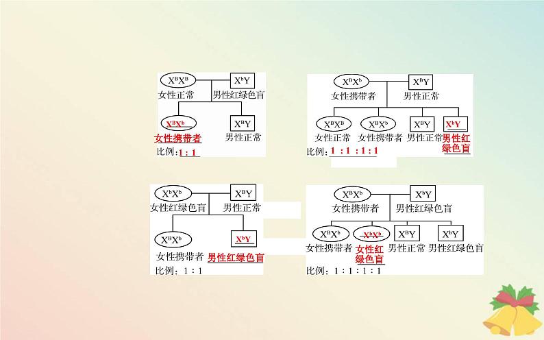 新教材2023高中生物第2章基因和染色体的关系第3节伴性遗传课件新人教版必修206