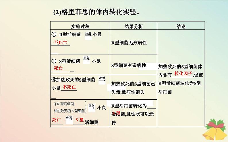 新教材2023高中生物第3章基因的本质第1节DNA是主要的遗传物质课件新人教版必修205