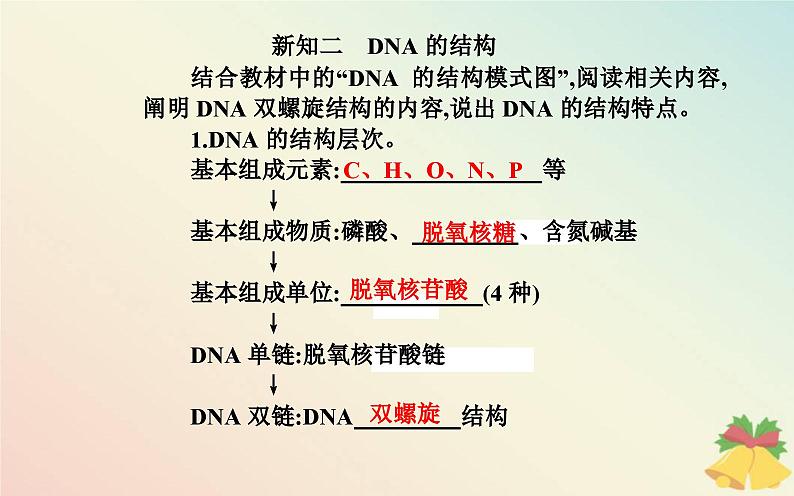 新教材2023高中生物第3章基因的本质第2节DNA的结构课件新人教版必修2第4页