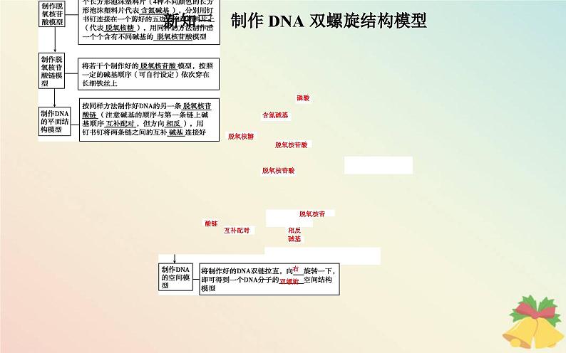 新教材2023高中生物第3章基因的本质第2节DNA的结构课件新人教版必修2第6页