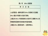 新教材2023高中生物第3章基因的本质第3节DNA的复制课件新人教版必修2