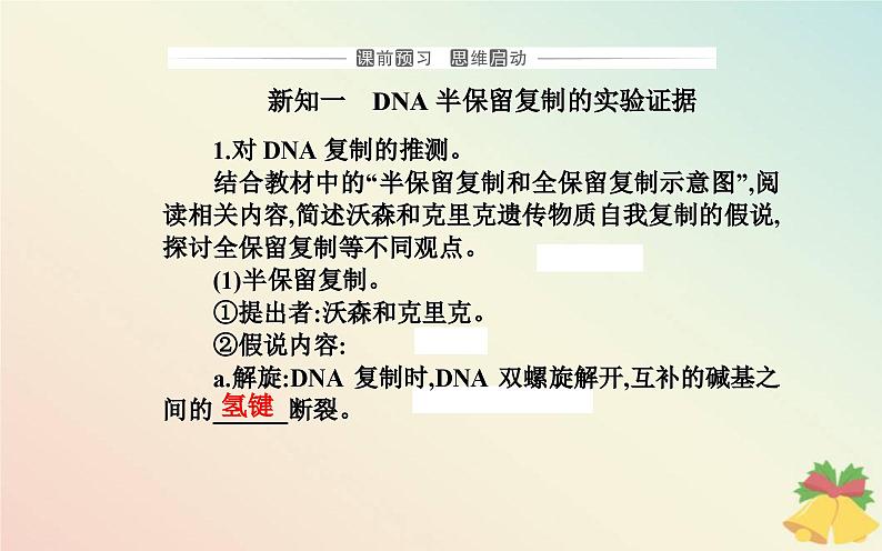 新教材2023高中生物第3章基因的本质第3节DNA的复制课件新人教版必修2第3页