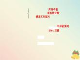 新教材2023高中生物第3章基因的本质第3节DNA的复制课件新人教版必修2