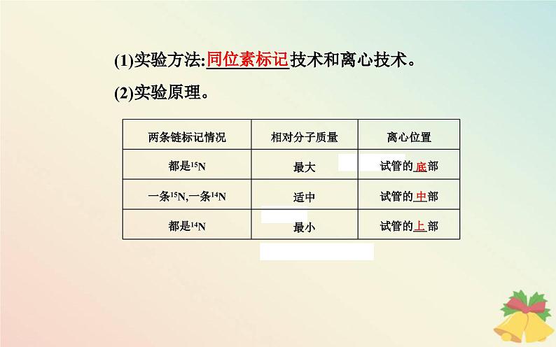 新教材2023高中生物第3章基因的本质第3节DNA的复制课件新人教版必修2第5页