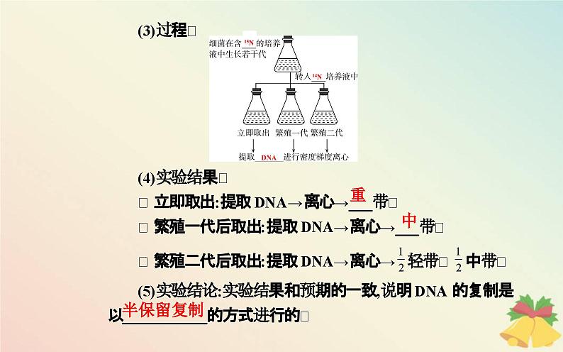 新教材2023高中生物第3章基因的本质第3节DNA的复制课件新人教版必修2第6页