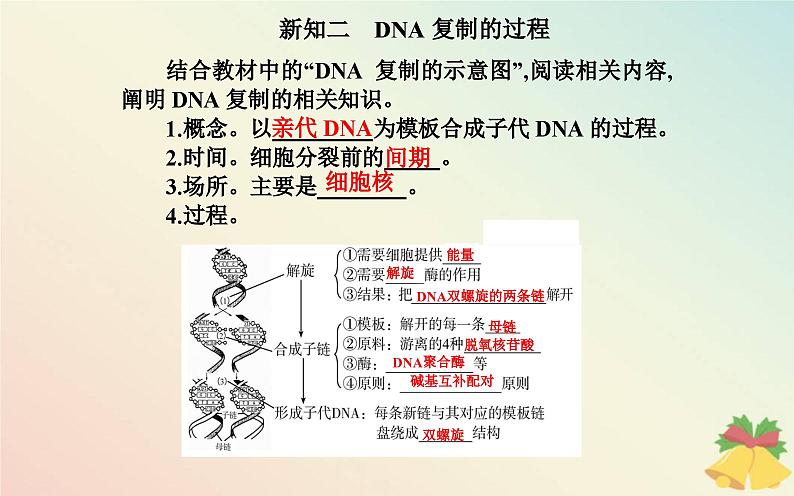 新教材2023高中生物第3章基因的本质第3节DNA的复制课件新人教版必修2第7页