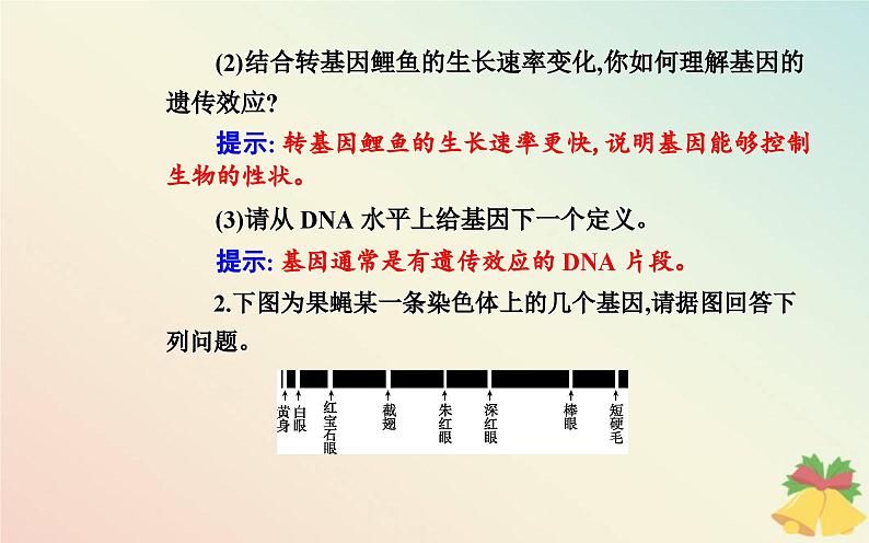 新教材2023高中生物第3章基因的本质第4节基因通常是有遗传效应的DNA片段课件新人教版必修2第7页