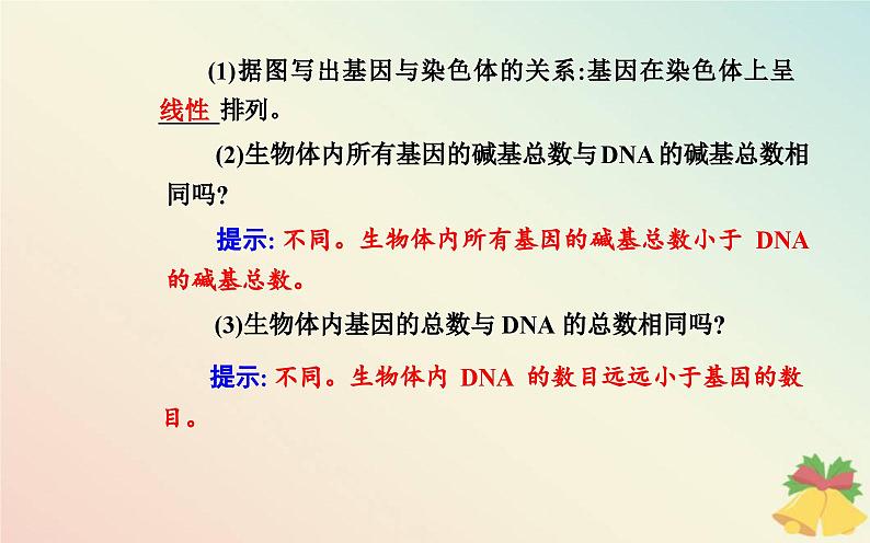 新教材2023高中生物第3章基因的本质第4节基因通常是有遗传效应的DNA片段课件新人教版必修2第8页