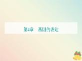 新教材2023高中生物第4章基因的表达第1节基因指导蛋白质的合成课件新人教版必修2