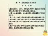 新教材2023高中生物第4章基因的表达第1节基因指导蛋白质的合成课件新人教版必修2
