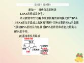 新教材2023高中生物第4章基因的表达第1节基因指导蛋白质的合成课件新人教版必修2