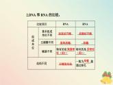 新教材2023高中生物第4章基因的表达第1节基因指导蛋白质的合成课件新人教版必修2