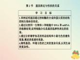 新教材2023高中生物第4章基因的表达第2节基因表达与性状的关系课件新人教版必修2