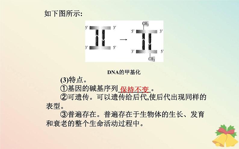 新教材2023高中生物第4章基因的表达第2节基因表达与性状的关系课件新人教版必修2第7页